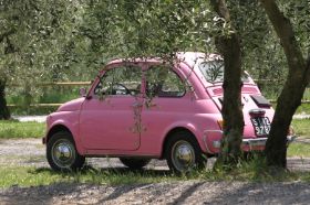 cinquecento.jpg